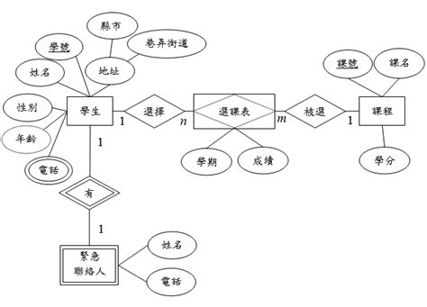 關聯圖 英文|ER模型